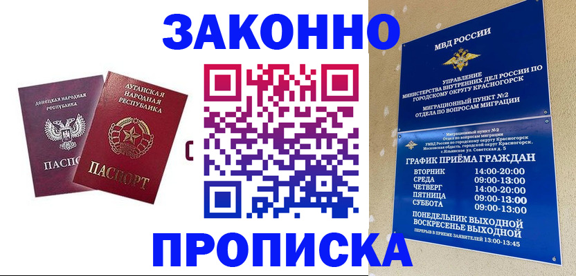 прописка в Суворове
